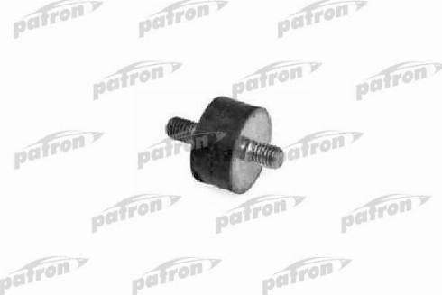 Patron PSE3060 - Piekare, Radiators www.autospares.lv