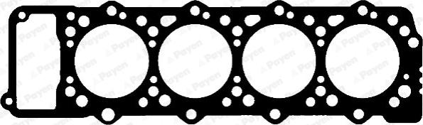 Payen AA5020 - Прокладка, головка цилиндра www.autospares.lv