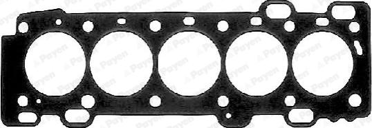 Payen AB5441 - Blīve, Motora bloka galva www.autospares.lv