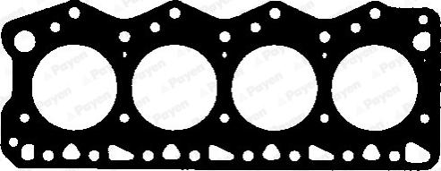 Payen AY591 - Blīve, Motora bloka galva www.autospares.lv