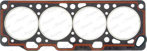 Payen BL570 - Blīve, Motora bloka galva www.autospares.lv