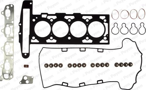 Payen CG9580 - Blīvju komplekts, Motora bloka galva www.autospares.lv