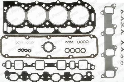 Payen DS990 - Blīvju komplekts, Motora bloka galva www.autospares.lv