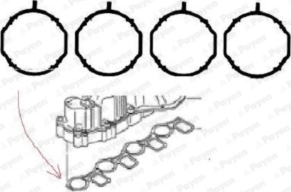 Payen HA5069 - Blīvju komplekts, Ieplūdes kolektors www.autospares.lv