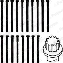 Payen HBS042 - Cilindru galvas skrūvju komplekts www.autospares.lv