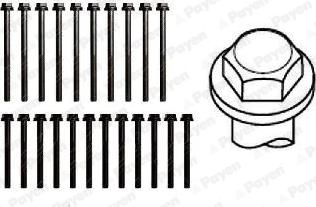 Payen HBS011 - Cilindru galvas skrūvju komplekts www.autospares.lv