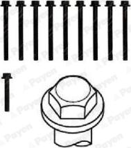 Payen HBS297 - Cilindru galvas skrūvju komplekts www.autospares.lv