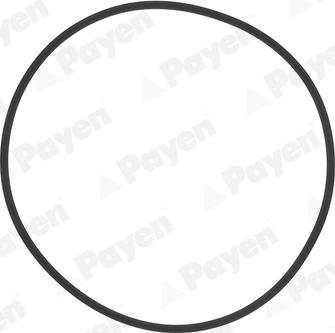 Payen HL5383 - Blīvju komplekts, Cilindra čaula www.autospares.lv