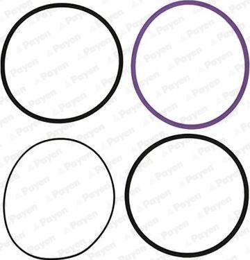 Payen HT002 - O-Ring Set, cylinder sleeve www.autospares.lv