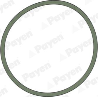 Payen JD5228 - Blīve, Ieplūdes kolektors www.autospares.lv