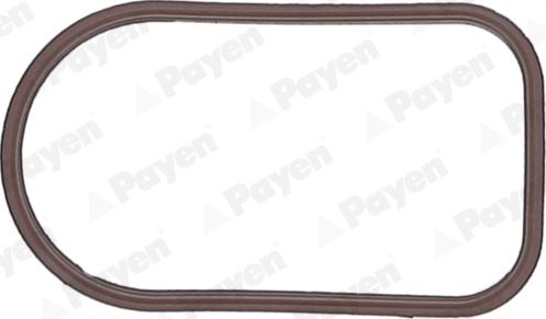 Payen JD6163 - Blīve, Ieplūdes kolektors www.autospares.lv