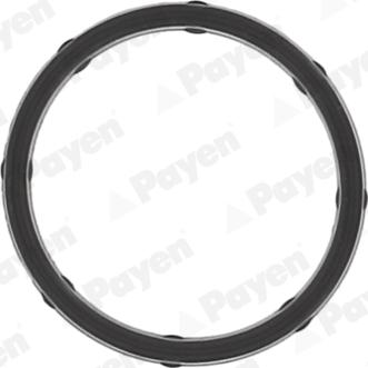 Payen JD6172 - Blīve, Ieplūdes kolektors www.autospares.lv