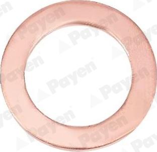 Payen KG5095 - Blīvgredzens www.autospares.lv