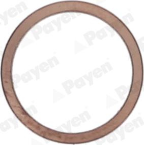 Payen KG5148 - Blīvgredzens, Eļļas noliešanas korķis www.autospares.lv