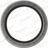 Payen KG5341 - Blīvgredzens, Eļļas noliešanas korķis www.autospares.lv