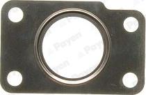 Payen KK5739 - Blīve, Kompresors www.autospares.lv