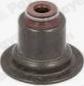 Payen PA6070 - Blīvgredzens, Vārsta kāts www.autospares.lv