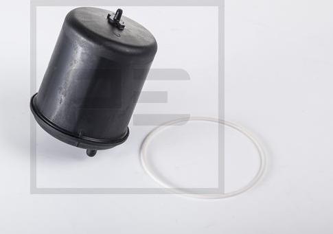 PE Automotive 089.087-00A - Eļļas filtrs www.autospares.lv