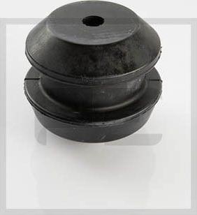 PE Automotive 030.238-00A - Piekare, Dzinējs www.autospares.lv