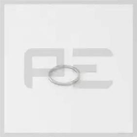 PE Automotive 031.157-00A - Seal Ring, oil drain plug www.autospares.lv