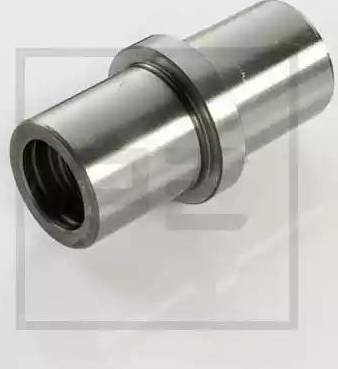 PE Automotive 031.341-00A - Stub Axle Pins www.autospares.lv