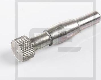 PE Automotive 146.139-00A - Atsperotā sprosttapa, Bremžu loks www.autospares.lv