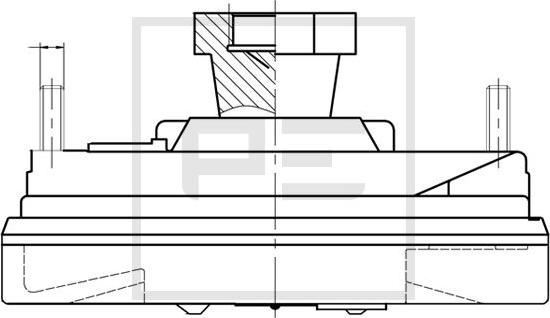 PE Automotive 100.235-00A - Sajūgs, Radiatora ventilators www.autospares.lv