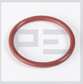 PE Automotive 126.088-00A - Seal Ring www.autospares.lv