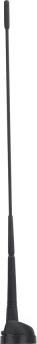 PHONOCAR 08065 - Antena www.autospares.lv