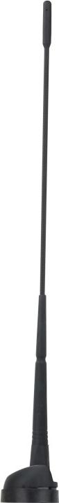 PHONOCAR 08087 - Antena www.autospares.lv