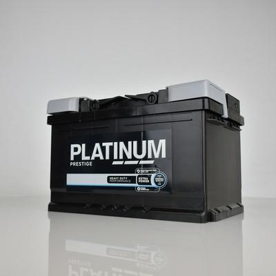 PLATINUM 100E - Starter Battery www.autospares.lv