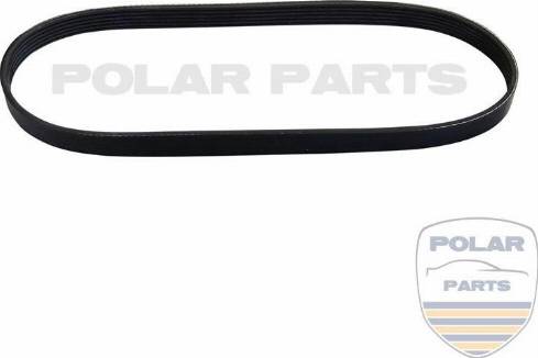 PolarParts 10004218 - Ķīļrievu siksna autospares.lv