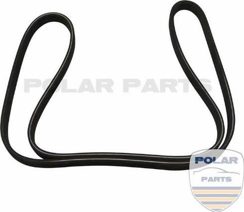 PolarParts 10000950 - V-Ribbed Belt www.autospares.lv