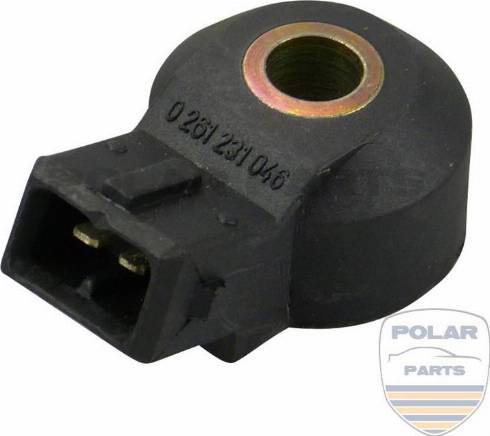 PolarParts 10000566 - Detonācijas devējs autospares.lv