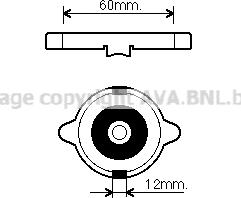 Prasco 980015 - Vāciņš, Radiators www.autospares.lv