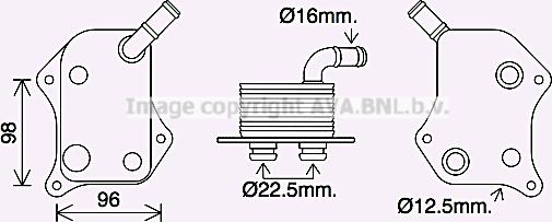 Prasco AI3414 - Eļļas radiators, Motoreļļa www.autospares.lv