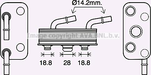 Prasco BW3559 - Eļļas radiators, Automātiskā pārnesumkārba www.autospares.lv