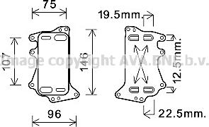 Prasco BW3556 - Eļļas radiators, Automātiskā pārnesumkārba www.autospares.lv