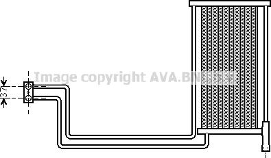 Prasco BW3368 - Eļļas radiators, Automātiskā pārnesumkārba www.autospares.lv