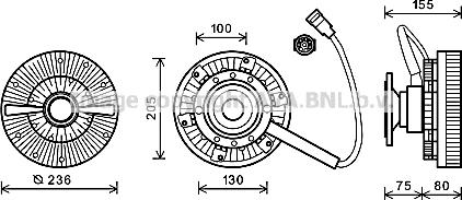 Prasco DFC046 - Sajūgs, Radiatora ventilators www.autospares.lv