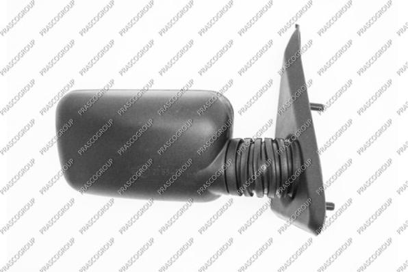 Prasco FT1217003 - Ārējais atpakaļskata spogulis www.autospares.lv