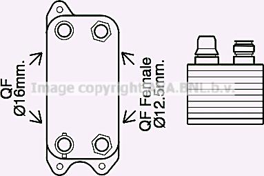 Prasco MS3686 - Eļļas radiators, Automātiskā pārnesumkārba www.autospares.lv