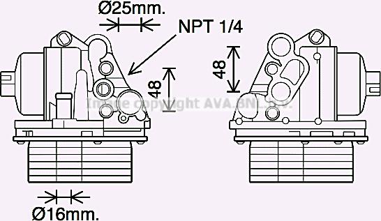 Prasco PE3400H - Eļļas radiators, Motoreļļa www.autospares.lv