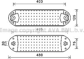 Prasco VL3074 - Eļļas radiators, Motoreļļa www.autospares.lv