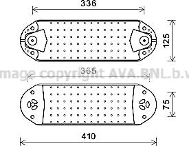 Prasco VL3076 - Eļļas radiators, Motoreļļa www.autospares.lv