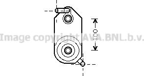 Prasco VN3110 - Eļļas radiators, Automātiskā pārnesumkārba www.autospares.lv