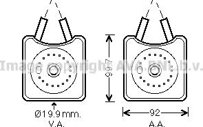 Prasco VN3215 - Eļļas radiators, Motoreļļa www.autospares.lv