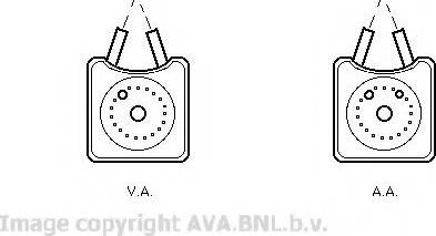 Prasco VW3147 - Eļļas radiators, Motoreļļa www.autospares.lv