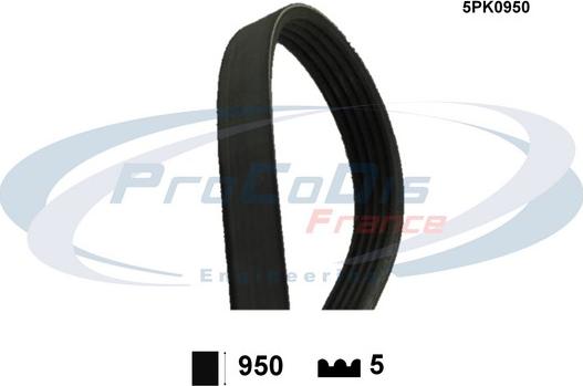 Procodis France 5PK0950 - Ķīļrievu siksna autospares.lv