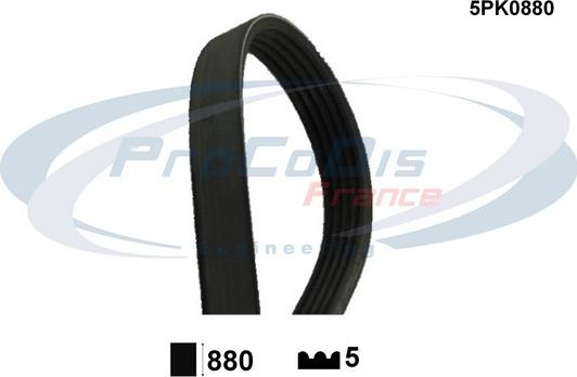 Procodis France 5PK0880 - Поликлиновой ремень www.autospares.lv